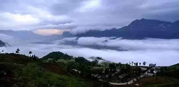 2023贵州平均工资,贵州2020年平均工资一览表