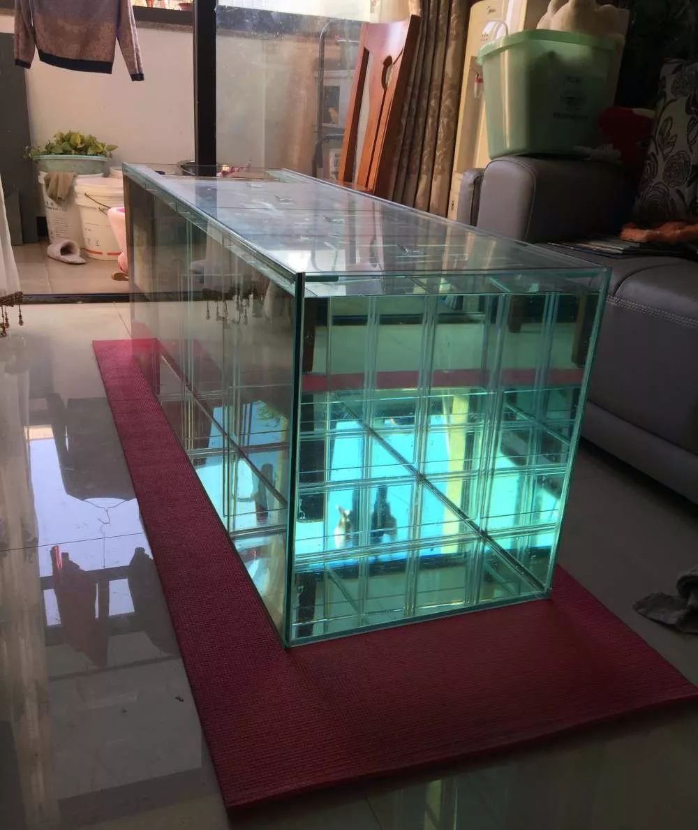 历时4个月，亲手做的缸终于运行！