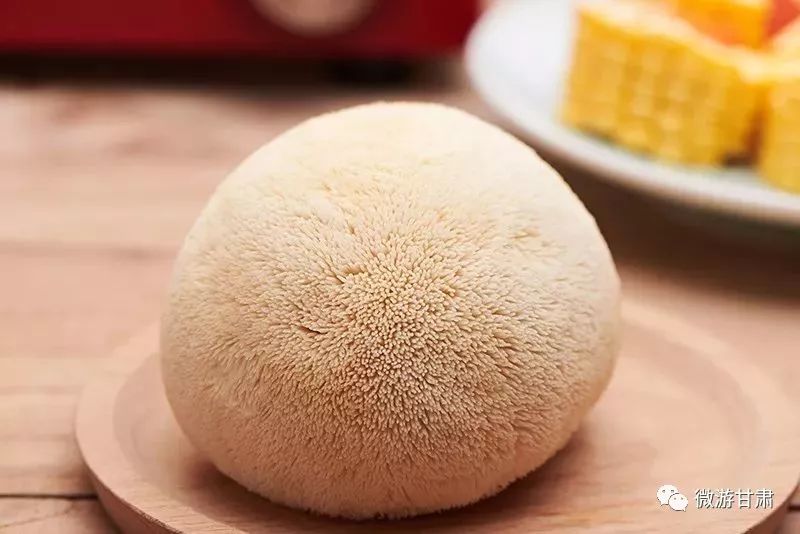 康县的猴头菇,陇南康县特产香菇干