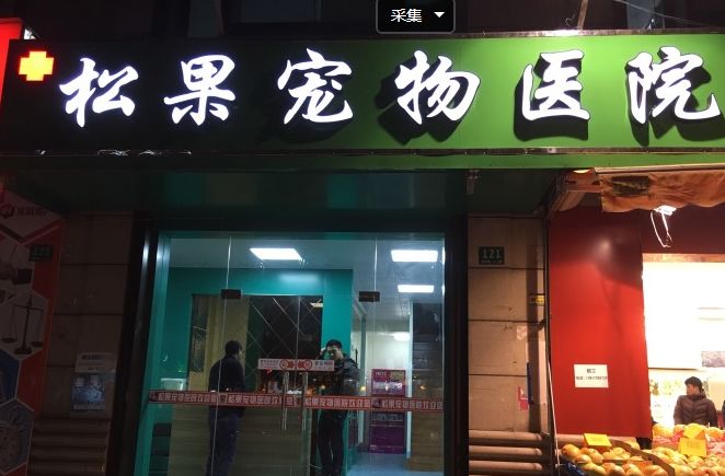 妙手仁心救我狗命锦旗,妙手仁心宠物医院