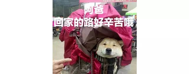 春运火车票今日开抢攻略请收好,春运火车票明天开售抢票攻略来啦