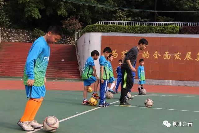 爱体育看体育赛,柳师附小运动会