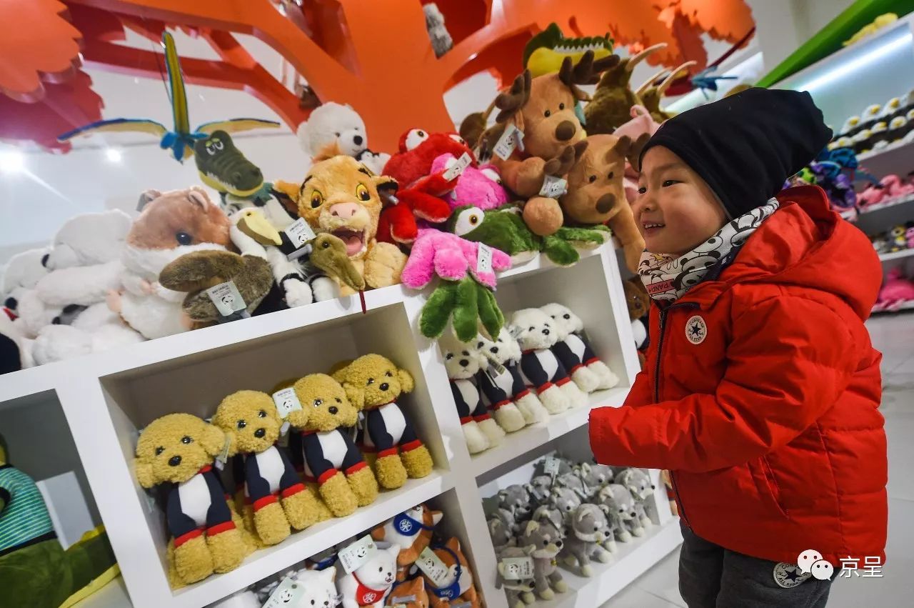 鹈鹕树懒食蚁兽？北京这家非主流玩偶店教你认认新萌物