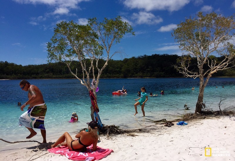 FraserIsland|快来全世界最大的沙岛上撒把野
