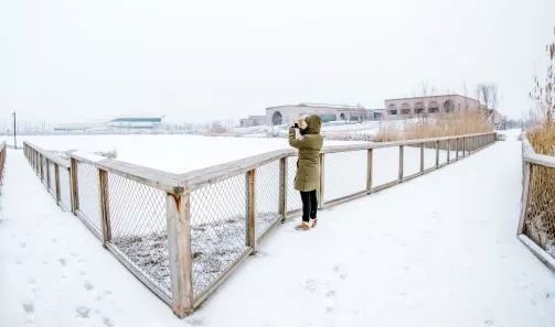 银川冬日风景,冬天银川必去的五大景点