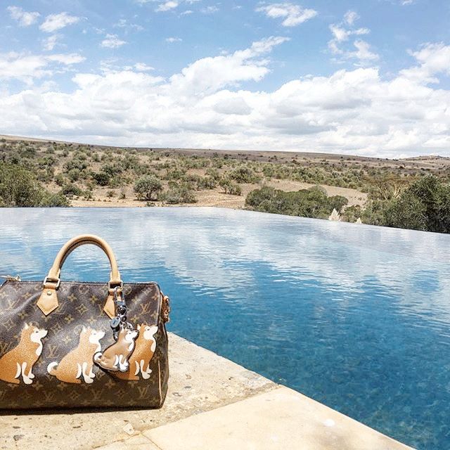 去年没放过鸡,今年这些品牌又开始虐狗了