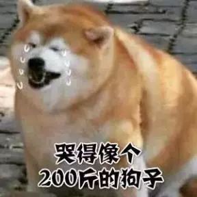 看文献的优点和缺点,看文献的话有哪些好处啊