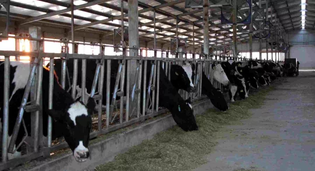 奈曼旗新闻最新今天,奈曼2018.02.14新闻