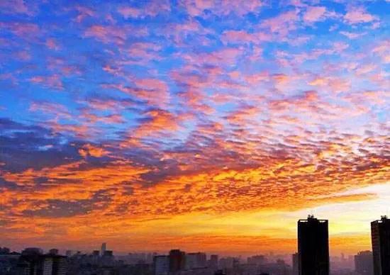 春城秀红嘴鸥图片,春城冬日美景