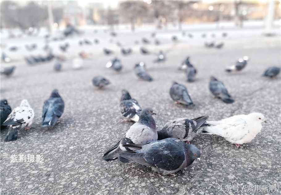 跟团游旅游费用,跟团游国外15天多少钱