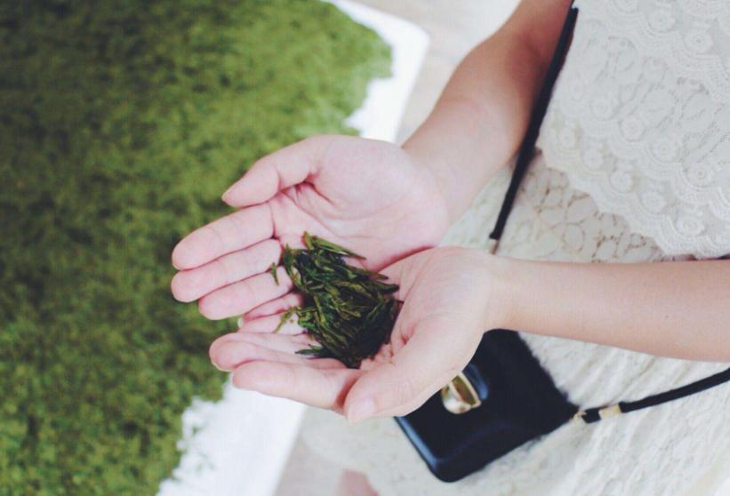 立顿茶与中国茶文化的区别,立顿茶和中国茶