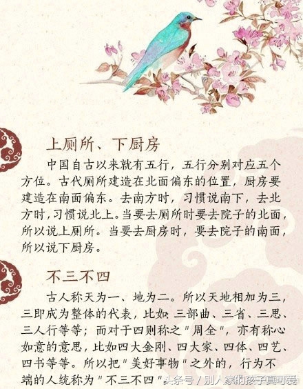 传统文化的中国俗语,中华文化的俗语大全
