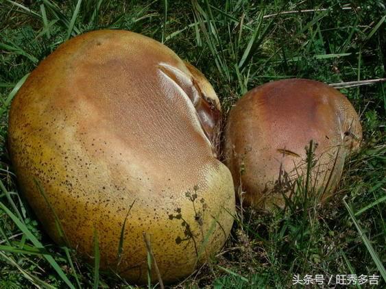 乌孙古道徒步注意事项和技巧,乌孙古道徒步穿什么衣服八月