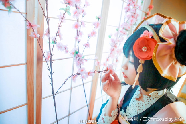 新的一年你是选择看樱花，还是超级可爱的妮可呢？