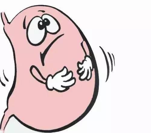 胃寒胃凉有什么好的养生办法,胃寒怎么治疗最快最有效食补