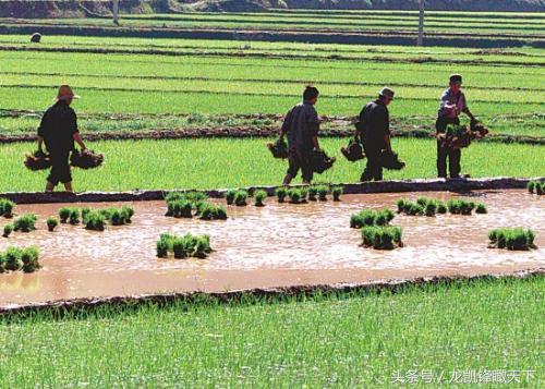 农民出租土地是否缴纳增值税税款,长河税务所