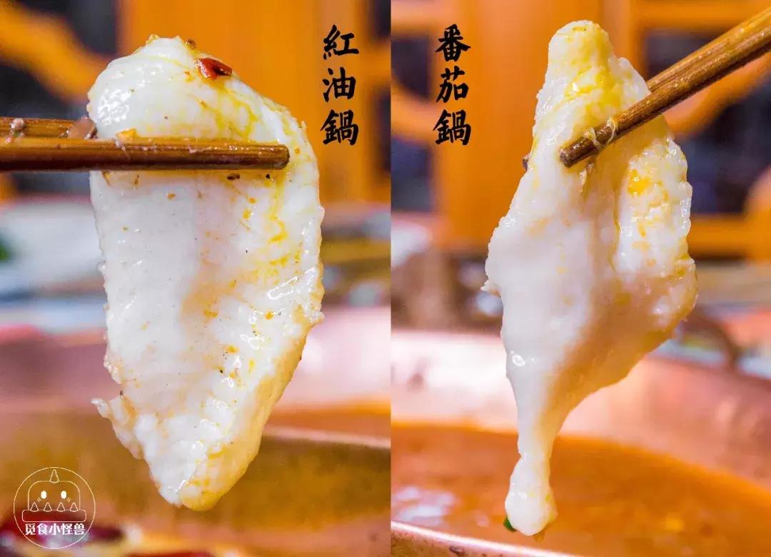 珠海辣莊|包贝尔开的重庆老火锅,50000000人吃过都说辣
