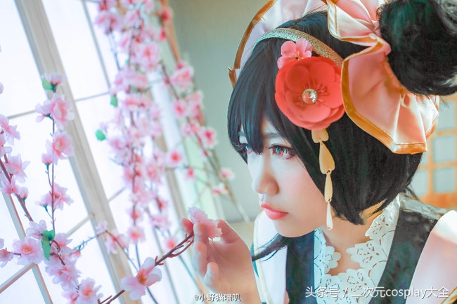 新的一年你是选择看樱花，还是超级可爱的妮可呢？