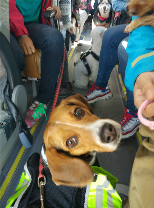 回顾欧帝亿和你相遇春の水长城