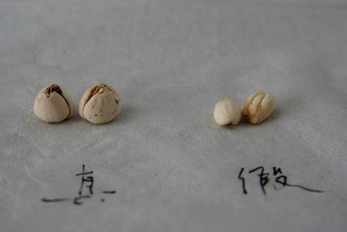 造假最多的十个中药材,名贵中药材造假的有哪些