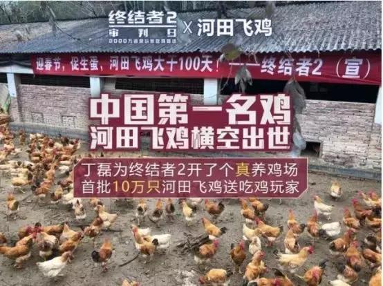 网易丁磊建设养鸡场,丁磊开了一个养猪场