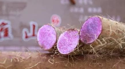 签下半亿大单！香港人买下1000吨肇庆这种食物！