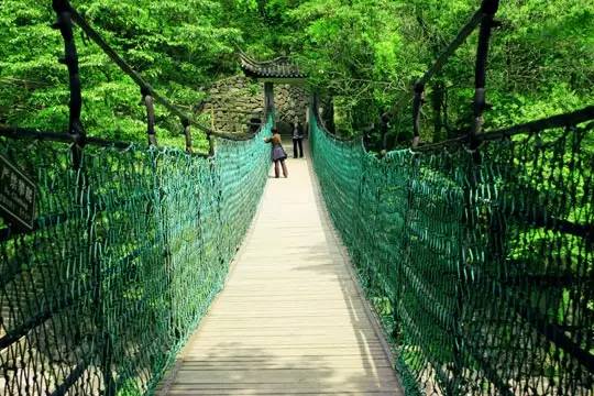 2018年浙江地方景点旅游日历大合集!含杭州,建德,温州,金华!