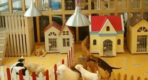 4个月宝宝咳嗽妈妈吃药有用吗,4岁女童咳嗽不断妈妈以为是肺炎