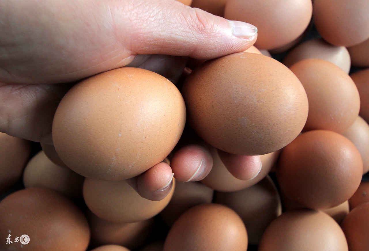早期的孕妇吃什么最好,怀孕初期吃哪些食品对胎儿比较好