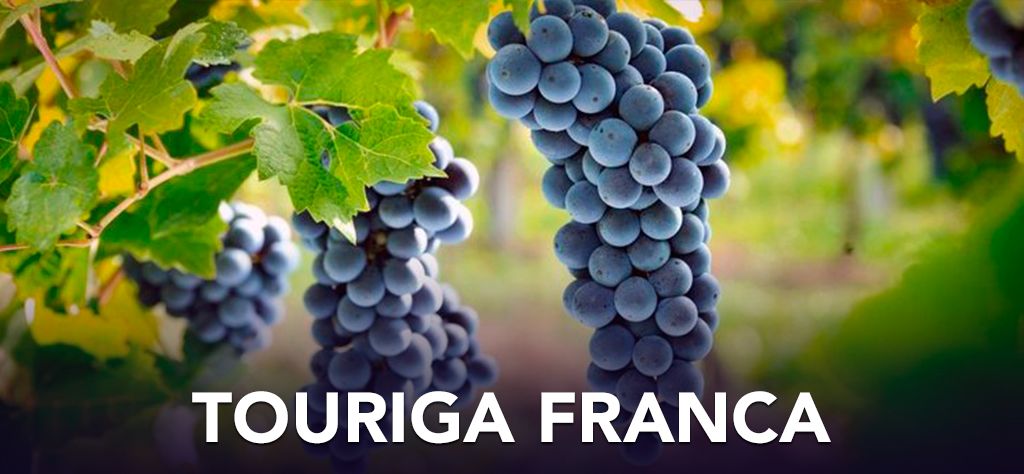 葡萄酿酒品种大全,什么葡萄品种酿酒好喝