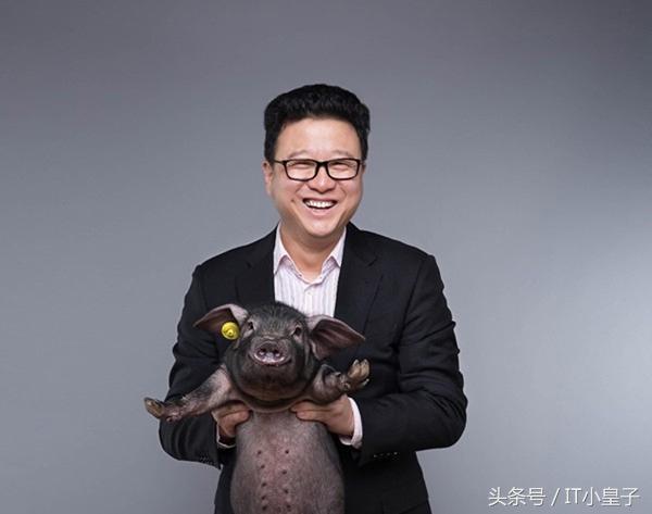 大吉大利，今晚吃丁磊养的鸡