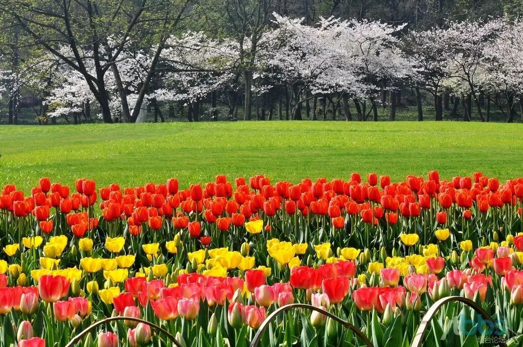 2018年浙江地方景点旅游日历大合集！含杭州，建德，温州，金华！