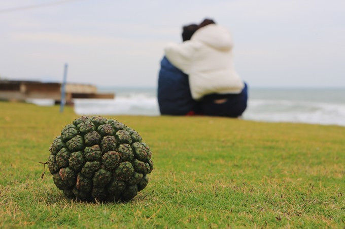 去三亚潇洒走一回,去海南三亚旅游潇洒走一回
