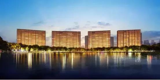 入杭五年,股权榜单上,与万科并列榜首,TA是如何做到的?