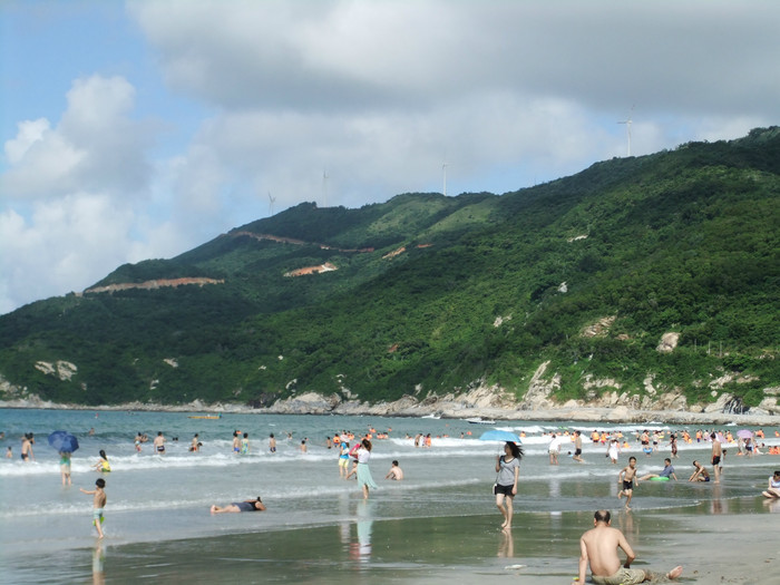 江门小鸟的天堂旅游攻略,江门小鸟天堂附近免费游玩的地方