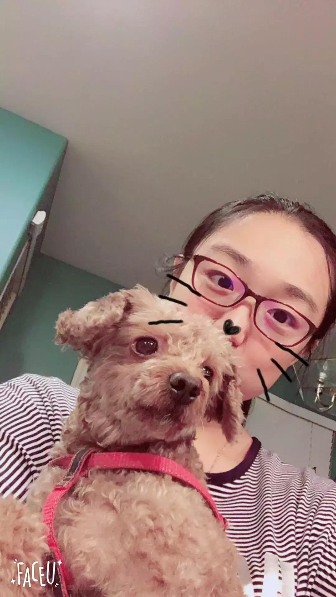 郑州耿直大妞美国开店，包下机舱，签了48个世界知名母婴品牌代理