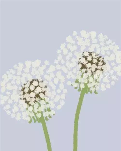 幼师必备的石头创意美术,幼师考核创意美术作品