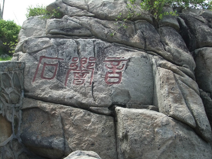 江门小鸟的天堂旅游攻略,江门小鸟天堂附近免费游玩的地方