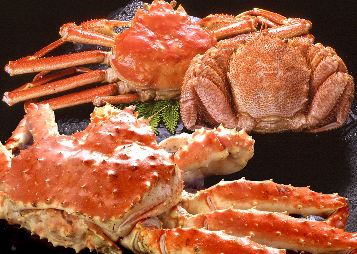 日本北海道好吃的零食品牌,北海道代表美食