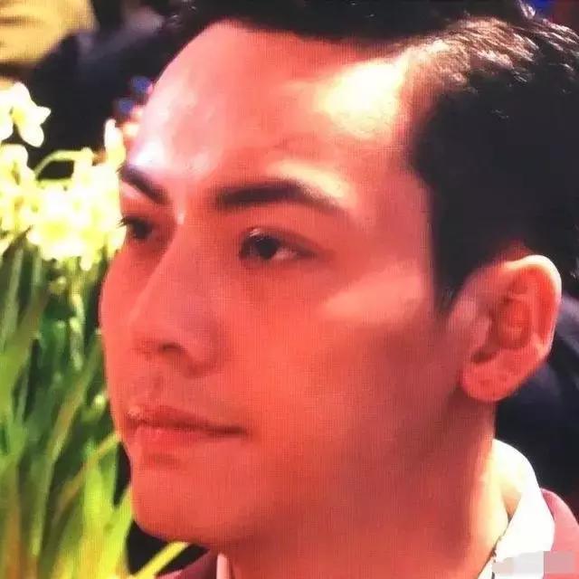 古天乐陈伟霆,陈伟霆古天乐视频