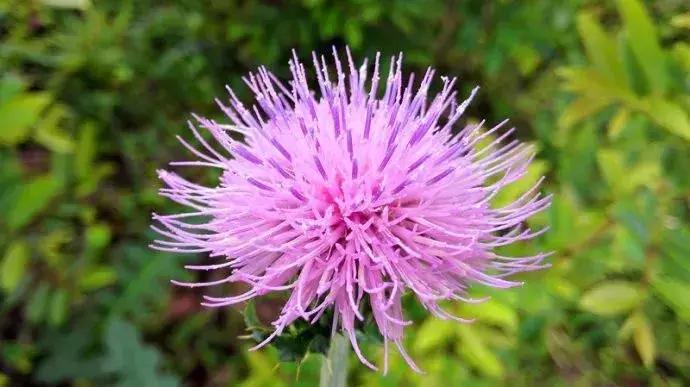 广东草原风景,广东绝美草原