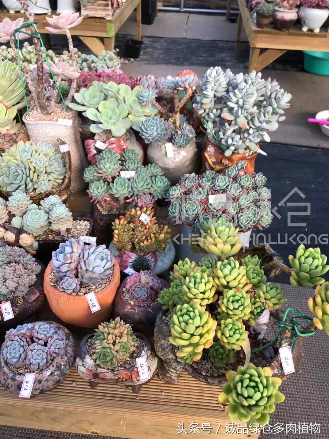 满足你对的所有幻想,满足你对生活所有的想象