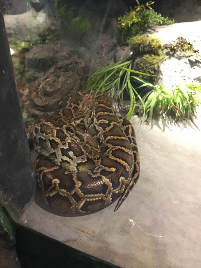 8月踏上泰国之旅,6天5夜泰国之旅