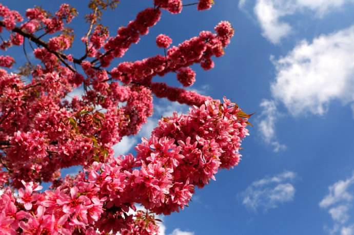 驿站之家——让你体验真实的昆明人生活！