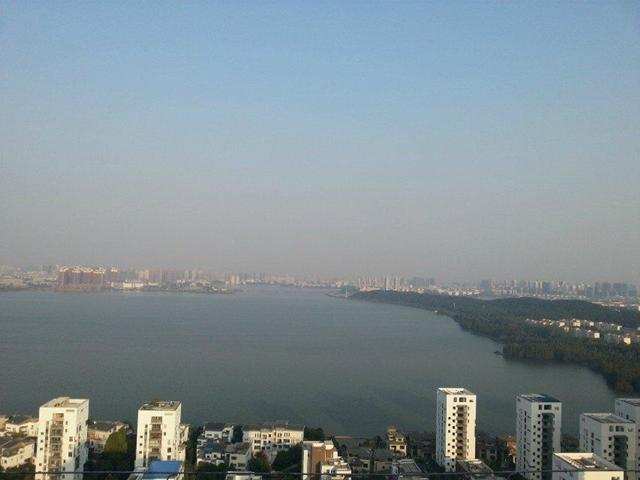 理性讨论不吹不黑,理性讨论996