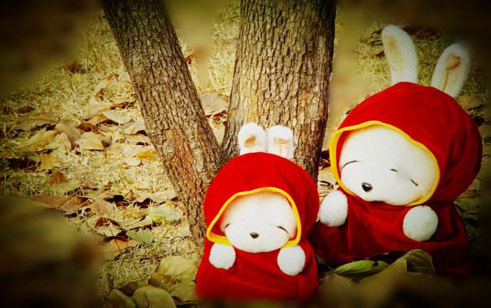 本命年犯太岁的感悟,本命年犯太岁一般会遇上什么事