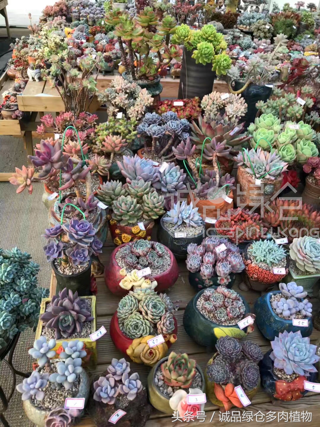 满足你对的所有幻想,满足你对生活所有的想象