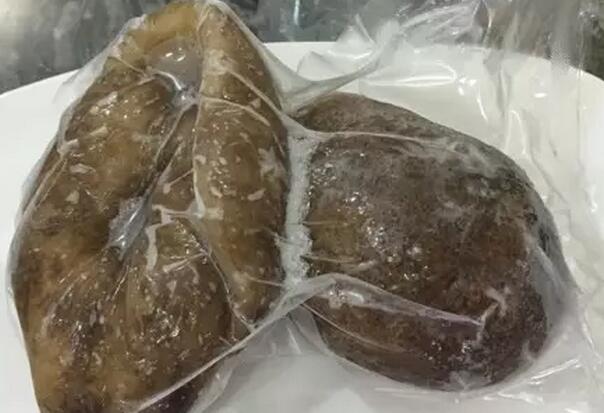 海参也有很多种,全世界所有可以吃的海参