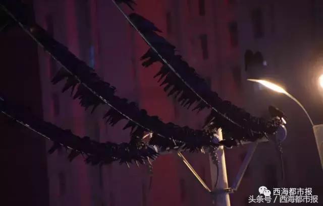 青海最惹眼的“尕网红”!“单挑哥”“白娘子”“老哇爷”