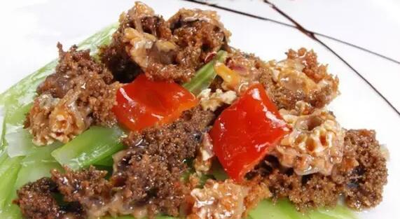 带您了解世界海参,你知道全球有多少种鲨鱼吗